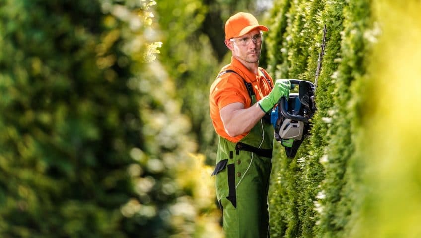 hedge trimming Langley
